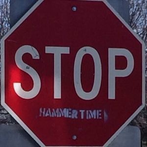 Meet your Posher, Donna